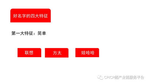 肖一刀 从无到有,打造猪肉品牌丨2018第三届中国猪产业链生态圈年会