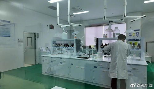 政府搭台 一个 云工厂 解了一批中小企业的难