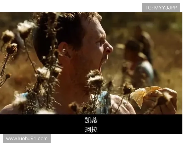 冷山:6大角色心路历程,揭示了15年恩怨情仇的最终归宿 冷山:6大角色心路历程,揭示了15年恩怨情仇的最终归宿