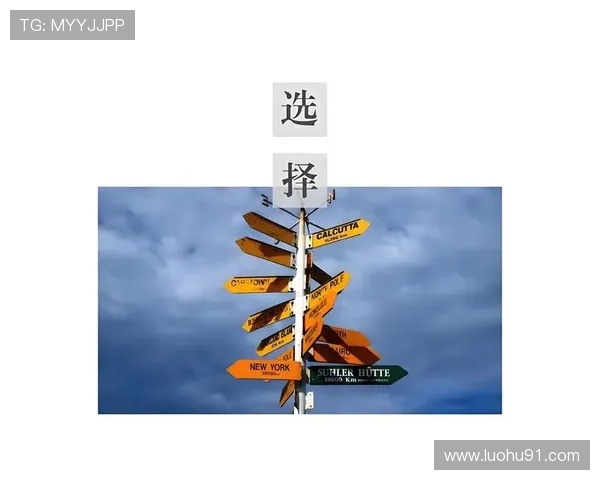 接档未来的选择 接档未来的选择